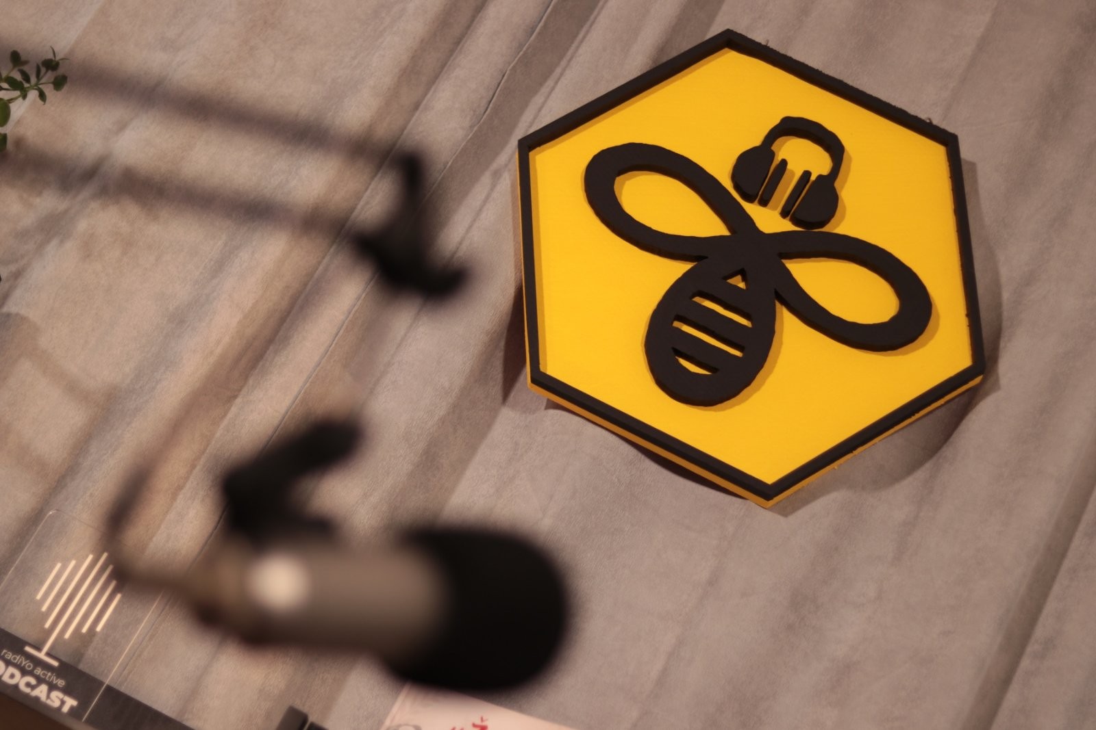 Profile photo of Radio Active